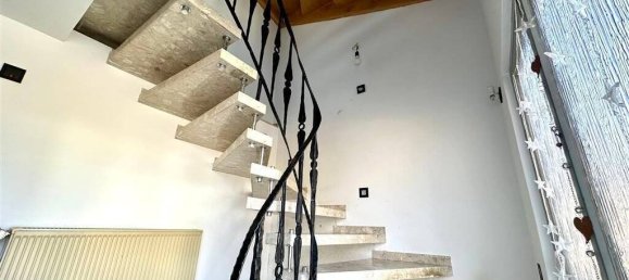 Таунхаус с 4 комнатами в Вестервальд, Германия № 100332 4