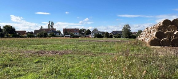 8 rooms Townhouse in Potsdam-Mittelmark, Germany No. 285627 8