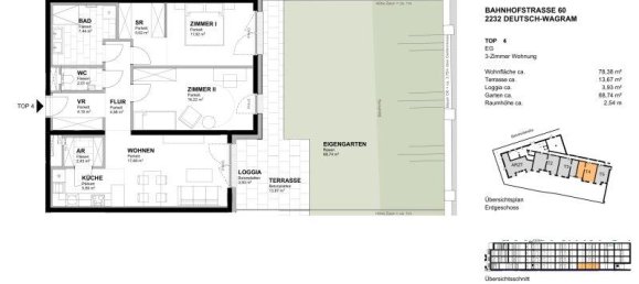 3 rooms Commercial property in Deutsch-Wagram, Austria No. 82283 8