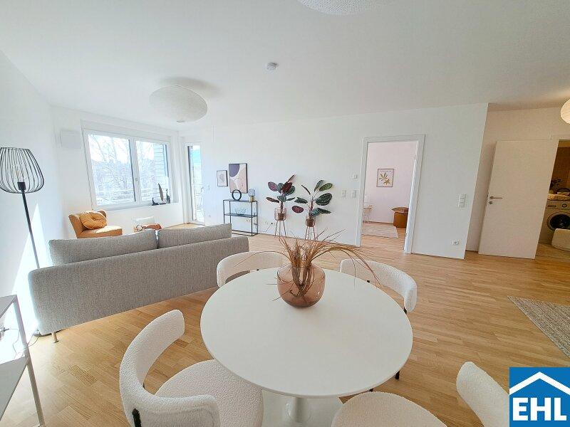 3 rooms Commercial property in Deutsch-Wagram, Austria No. 82283