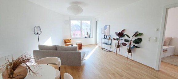 3 rooms Commercial property in Deutsch-Wagram, Austria No. 82283 3