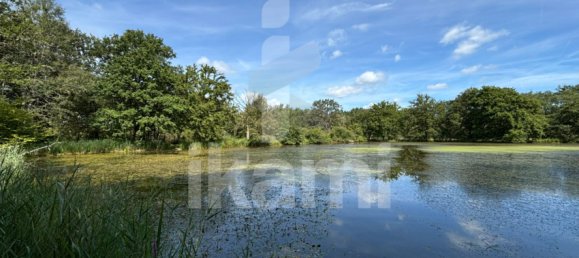 Замки и поместья с 4 спальнями в Верну-ан-Солонь, Франция № 248251 18