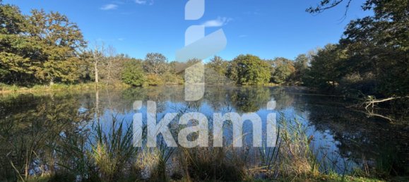 Замки и поместья с 4 спальнями в Верну-ан-Солонь, Франция № 248251 7