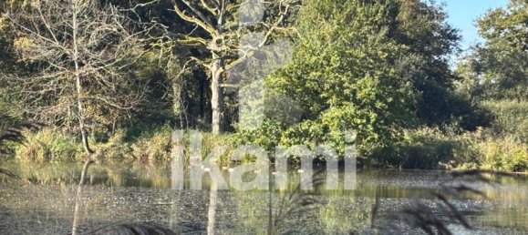 Замки и поместья с 4 спальнями в Верну-ан-Солонь, Франция № 248251 6