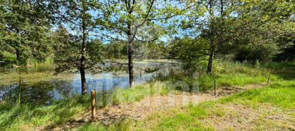 Замки и поместья с 4 спальнями в Верну-ан-Солонь, Франция № 248251 20