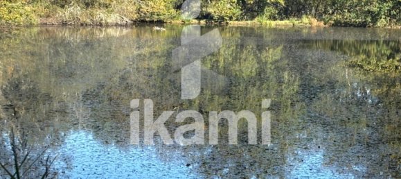 Замки и поместья с 4 спальнями в Верну-ан-Солонь, Франция № 248251 12