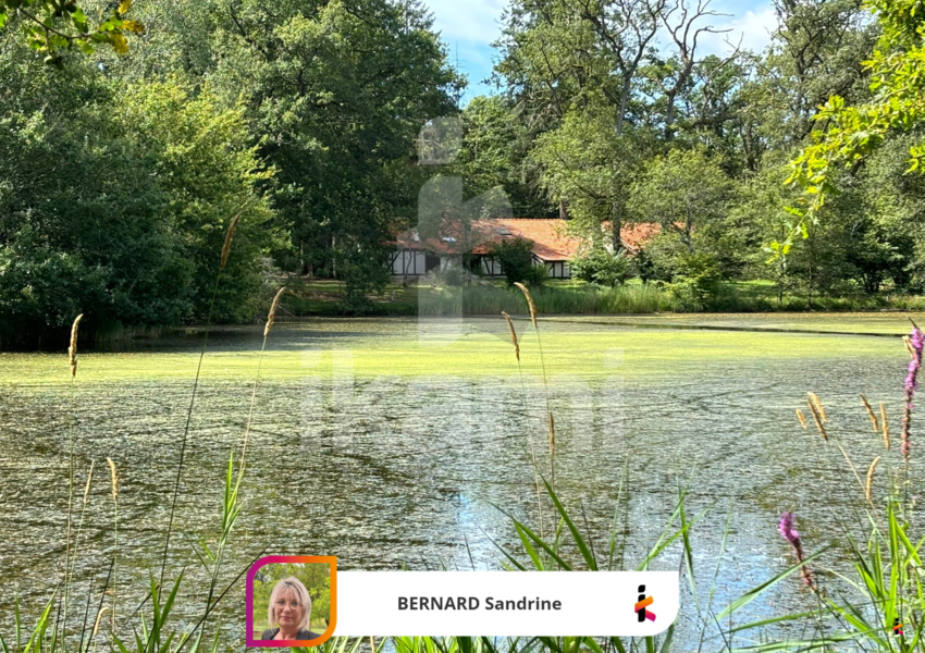 Замки и поместья с 4 спальнями в Верну-ан-Солонь, Франция № 248251