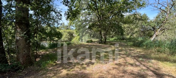 Замки и поместья с 4 спальнями в Верну-ан-Солонь, Франция № 248251 38