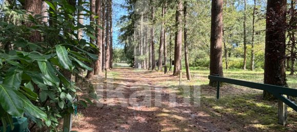 Замки и поместья с 4 спальнями в Верну-ан-Солонь, Франция № 248251 30