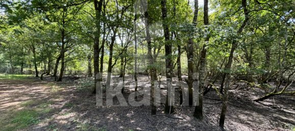 Замки и поместья с 4 спальнями в Верну-ан-Солонь, Франция № 248251 37