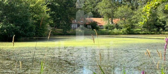 Замки и поместья с 4 спальнями в Верну-ан-Солонь, Франция № 248251 3