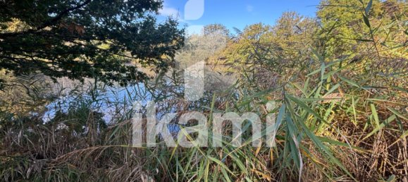 Замки и поместья с 4 спальнями в Верну-ан-Солонь, Франция № 248251 10