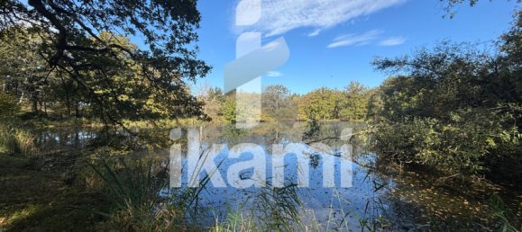 Замки и поместья с 4 спальнями в Верну-ан-Солонь, Франция № 248251 9