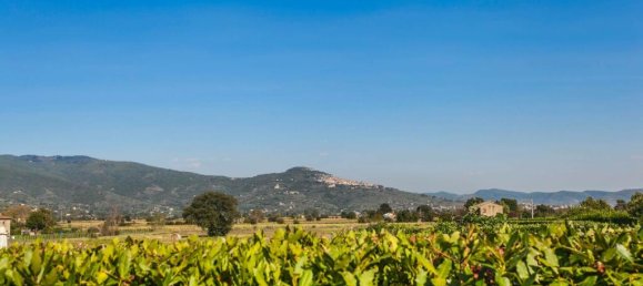 7 bedrooms House in Cortona, Italy No. 57189 43