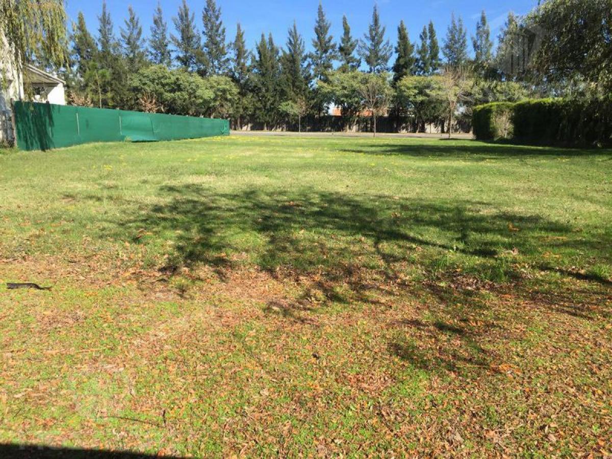  Land in Tigre, Argentina No. 49824