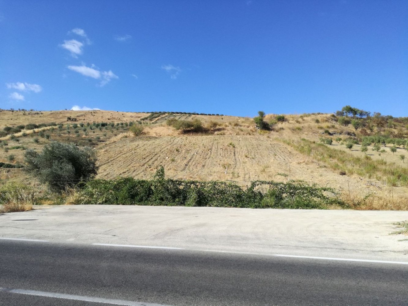 Terreno en Montallegro, Italy 19000 m² No. 255677