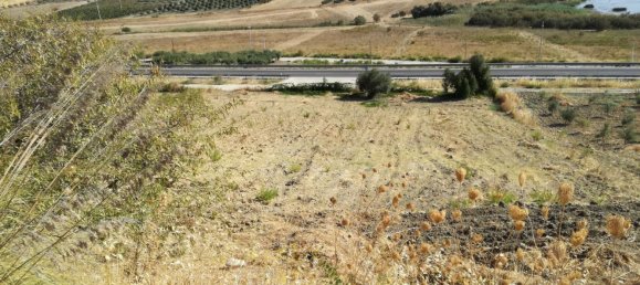 Terreno en Montallegro, Italy 19000 m² No. 255677 7