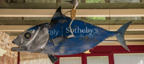 7 bedrooms House in Camaiore, Italy No. 116741 20