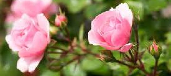  قطعة أرض في Bergstrase, Germany رقم 237928 5