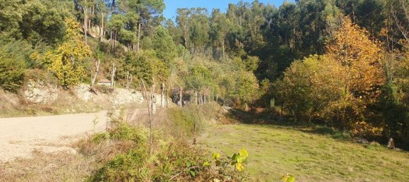 1470m² Land in Marco de Canaveses, Portugal No. 45015 3