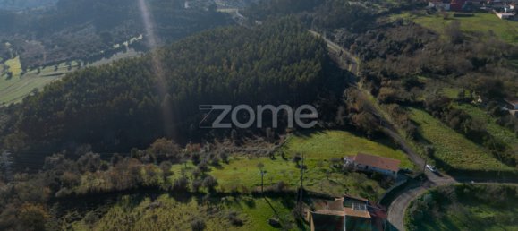 Grundstück in Montemor o Velho, Portugal, Nr. 16834 9