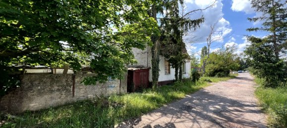 4غرفة منزل في Saalekreis, Germany رقم 85307 6