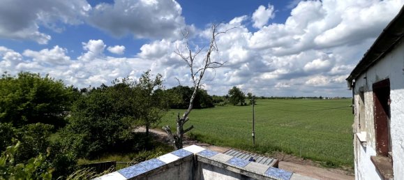 4غرفة منزل في Saalekreis, Germany رقم 85307 40