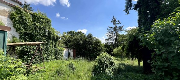 4غرفة منزل في Saalekreis, Germany رقم 85307 10