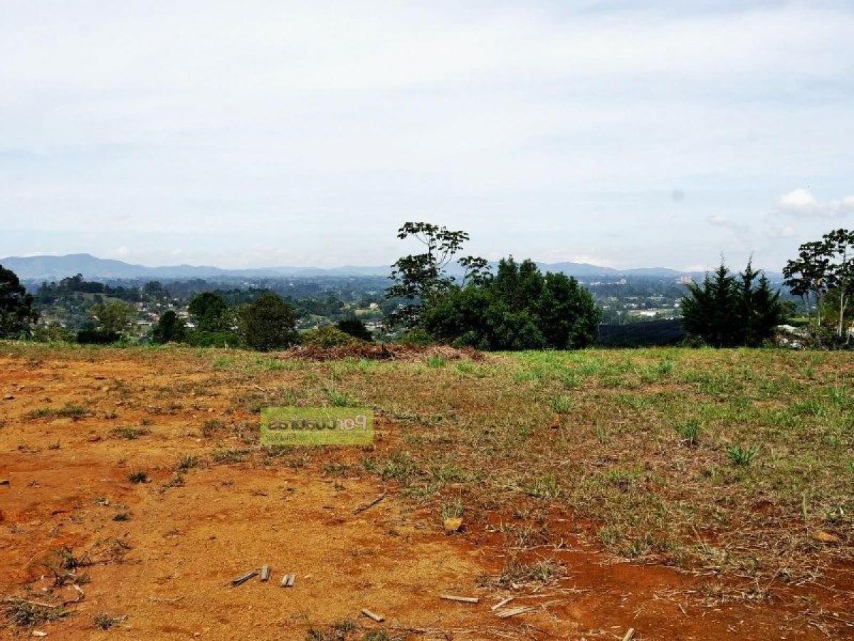 Terrain à Antioquia, Colombia No. 203
