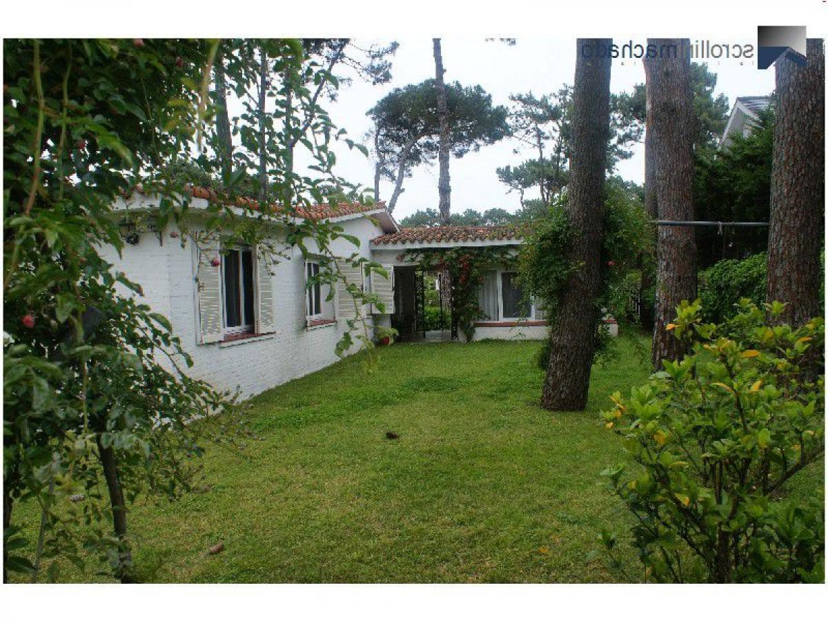 3 Schlafzimmer Haus in Maldonado, Uruguay, Nr. 8328