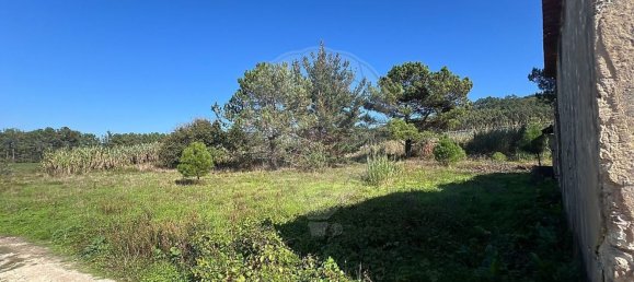 2 غرف نوم منزل في Nazare, Portugal رقم 168357 7
