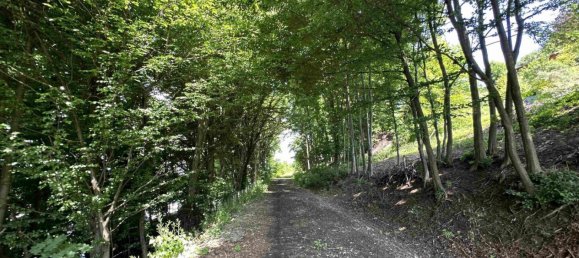  Land in Lannach, Austria No. 120878 8