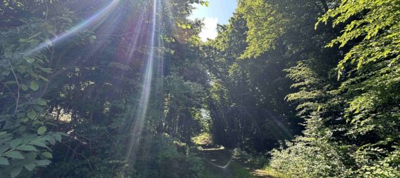  Land in Lannach, Austria No. 120878 10