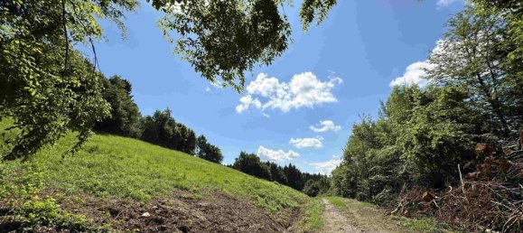  Land in Lannach, Austria No. 120878 9