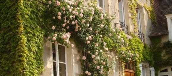 10 غرف نوم عقار تجاري في Vienne, France رقم 301479 2