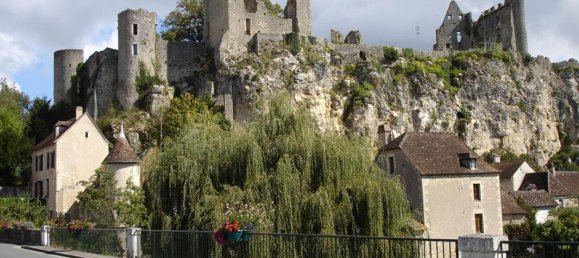 10 غرف نوم عقار تجاري في Vienne, France رقم 301479 7