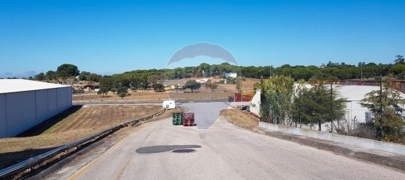 25373m² Building in Santarem, Portugal No. 89414 12
