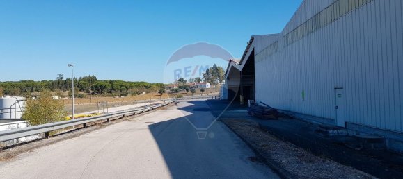 25373m² Building in Santarem, Portugal No. 89414 5