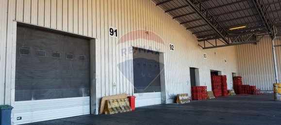 25373m² Building in Santarem, Portugal No. 89414 14