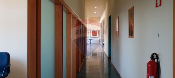 25373m² Building in Santarem, Portugal No. 89414 8