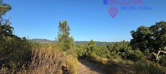 4 غرف نوم منزل في Serta, Portugal رقم 288595 37