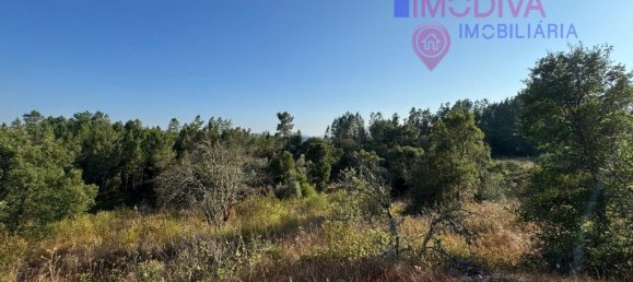 4 غرف نوم منزل في Serta, Portugal رقم 288595 18