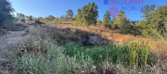 4 غرف نوم منزل في Serta, Portugal رقم 288595 25