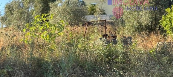 4 غرف نوم منزل في Serta, Portugal رقم 288595 31