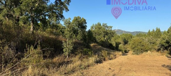 4 غرف نوم منزل في Serta, Portugal رقم 288595 28