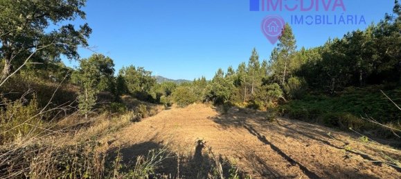 4 غرف نوم منزل في Serta, Portugal رقم 288595 26