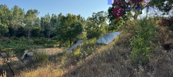 4 غرف نوم منزل في Serta, Portugal رقم 288595 38