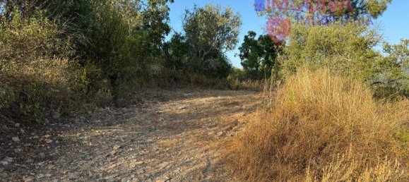 4 غرف نوم منزل في Serta, Portugal رقم 288595 36