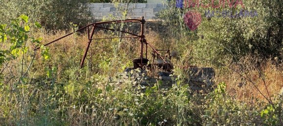 4 غرف نوم منزل في Serta, Portugal رقم 288595 30