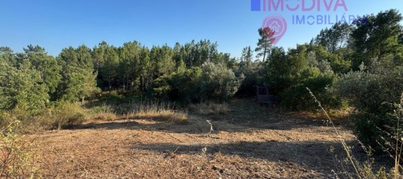 4 غرف نوم منزل في Serta, Portugal رقم 288595 20